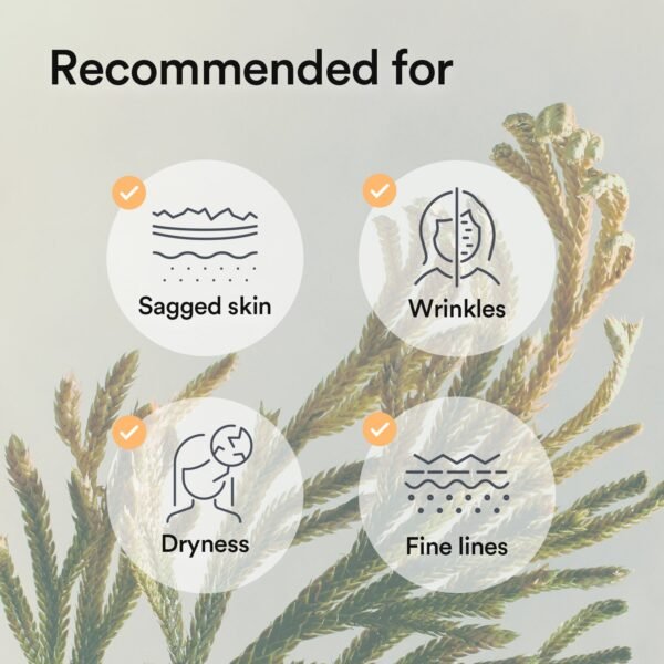 Vegan Collagen gel mask Jericho rose jelly