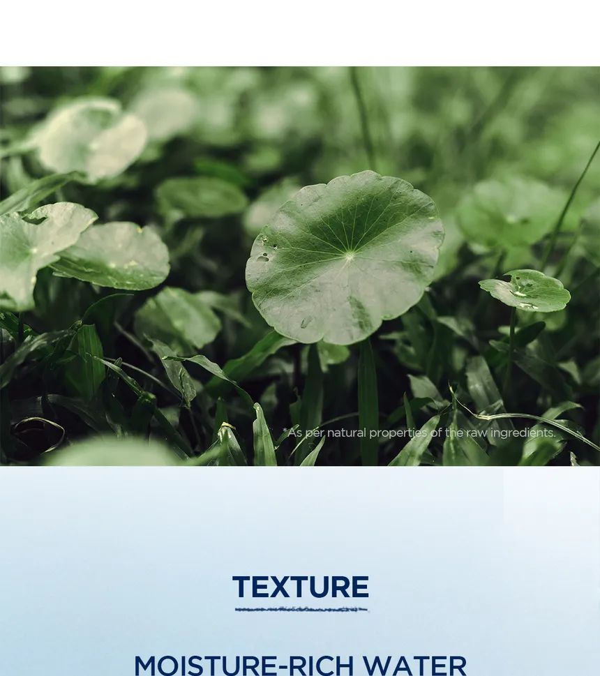 Madagascar Centella Hyalu-Cica Hydrating Mask (1ea) - Detail image 9